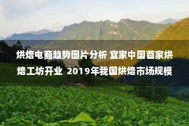 烘焙电商趋势图片分析 宜家中国首家烘焙工坊开业  2019年我国烘焙市场规模及趋势预测