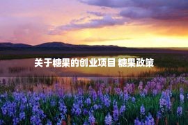 关于糖果的创业项目 糖果政策