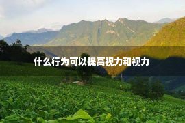 什么行为可以提高视力和视力 