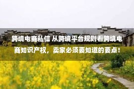 跨境电商私信 从跨境平台规则看跨境电商知识产权，卖家必须要知道的要点！