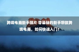 跨境电商新手图片 零基础的新手想做跨境电商，如何快速入门？