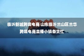 临沂新城跨境电商 山东临沂兰山区兰华跨境电商直播小镇备货忙