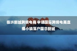 临沂新城跨境电商 申通国际跨境电商直播小镇落户国华新城