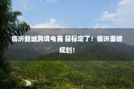 临沂新城跨境电商 目标定了！临沂重磅规划！