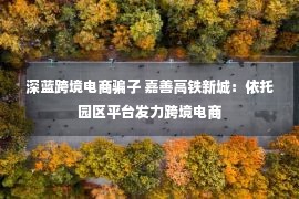 深蓝跨境电商骗子 嘉善高铁新城：依托园区平台发力跨境电商