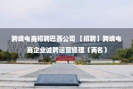 跨境电商招聘巴西公司 【招聘】跨境电商企业诚聘运营经理（两名）