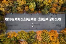 看短视频怎么短视频名 (短视频你怎么看)