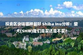 投资区块链哪种最好 Shiba Inu分析：柴犬(SHIB)我们是买还是不买？