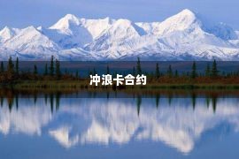 冲浪卡合约 