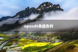 opusdt永续合约 