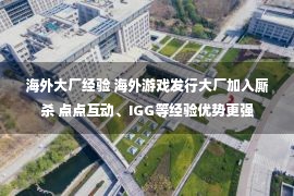 海外大厂经验 海外游戏发行大厂加入厮杀 点点互动、IGG等经验优势更强