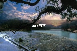 uxr自学