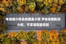 电饭锅小吃自制美食小吃 学会自制街边小吃，不花钱就能吃到