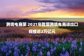 跨境电商第 2021年我国跨境电商进出口规模近2万亿元