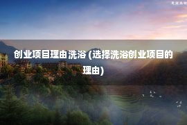 创业项目理由洗浴 (选择洗浴创业项目的理由)