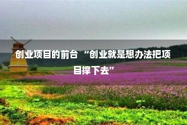 创业项目的前台 “创业就是想办法把项目撑下去”