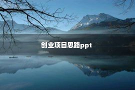 创业项目思路ppt 