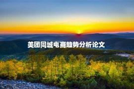 美团同城电商趋势分析论文 