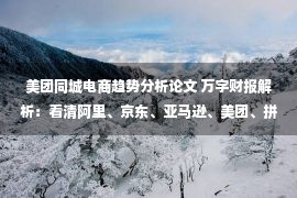 美团同城电商趋势分析论文 万字财报解析：看清阿里、京东、亚马逊、美团、拼多多的商业模式