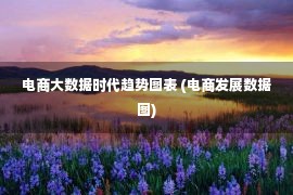 电商大数据时代趋势图表 (电商发展数据图)