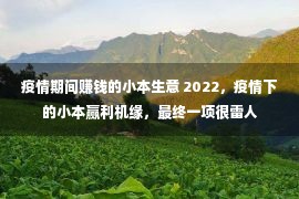 疫情期间赚钱的小本生意 2022，疫情下的小本赢利机缘，最终一项很雷人