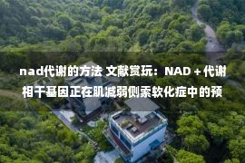 nad代谢的方法 文献赏玩：NAD＋代谢相干基因正在肌减弱侧索软化症中的预后争论