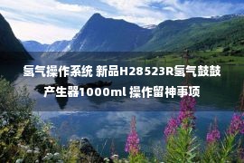 氢气操作系统 新品H28523R氢气鼓鼓产生器1000ml 操作留神事项