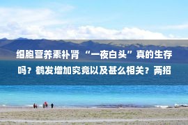 细胞营养素补肾 “一夜白头”真的生存吗？鹤发增加究竟以及甚么相关？两招改变法，帮你延迟鹤发的繁殖～