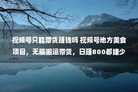 视频号只能带货赚钱吗 视频号地方美食项目，无脑搬运带货，日赚800都嫌少。