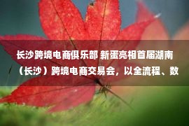 长沙跨境电商俱乐部 新蛋亮相首届湖南（长沙）跨境电商交易会，以全流程、数字化服务体系助力湘商出海