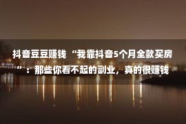 抖音豆豆赚钱 “我靠抖音5个月全款买房”：那些你看不起的副业，真的很赚钱！