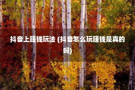 抖音上赚钱玩法 (抖音怎么玩赚钱是真的吗)