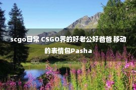 scgo日常 CSGO界的好老公好爸爸 移动的表情包Pasha