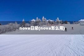 nova日常(nova怎么用)