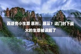 西湖旁小生意 暴利、暴富？这门时下最火的生意被误解了