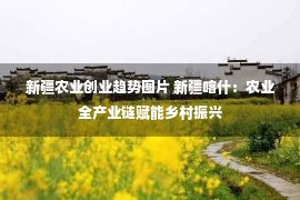 新疆农业创业趋势图片 新疆喀什：农业全产业链赋能乡村振兴