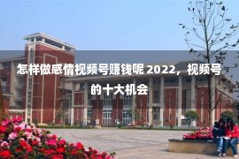 怎样做感情视频号赚钱呢 2022，视频号的十大机会