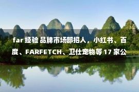 far 经验 品牌市场部招人，小红书、百度、FARFETCH、卫仕宠物等 17 家公司