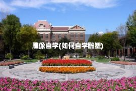 雕像自学(如何自学雕塑)