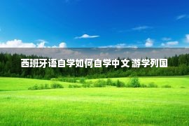 西班牙语自学如何自学中文 游学列国