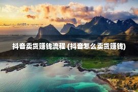 抖音卖货赚钱流程 (抖音怎么卖货赚钱)