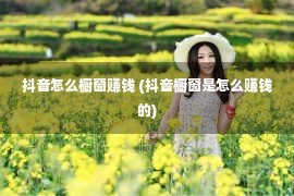 抖音怎么橱窗赚钱 (抖音橱窗是怎么赚钱的)