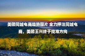 美团同城电商趋势图片 全力押注同城电商，美团王兴终于找准方向