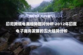 印尼跨境电商趋势图片分析 2012年印度电子商务发展的五大趋势分析