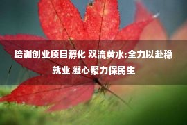 培训创业项目孵化 双流黄水:全力以赴稳就业 凝心聚力保民生