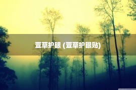 萱草护眼 (萱草护眼贴)