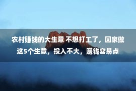 农村赚钱的大生意 不想打工了，回家做这5个生意，投入不大，赚钱容易点