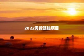 2022阅读赚钱项目 