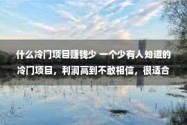 什么冷门项目赚钱少 一个少有人知道的冷门项目，利润高到不敢相信，很适合农村人做