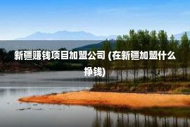 新疆赚钱项目加盟公司 (在新疆加盟什么挣钱)